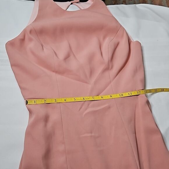 NWT Dessy Collection Desert Rose Crepe Open Back maxi Gown size 4 - Picture 13 of 14